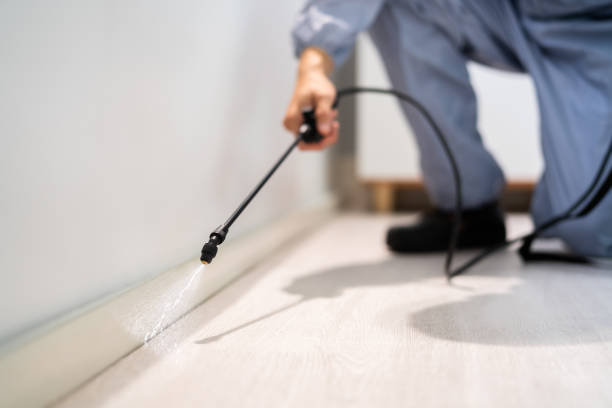Licensed Pest Control service in Topaz Ranch Estates, NV - Show Me Pest Control