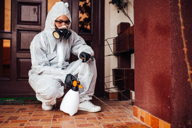 Reliable Wasp Removal contractor in Topaz Ranch Estates, NV by Show Me Pest Control
